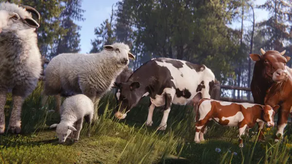 Mise à jour Rust Livestock : patch notes d'octobre 2026 pour serveurs